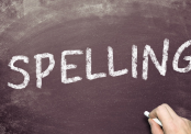 IN-Company Training Nederlands De Juiste Spelling 